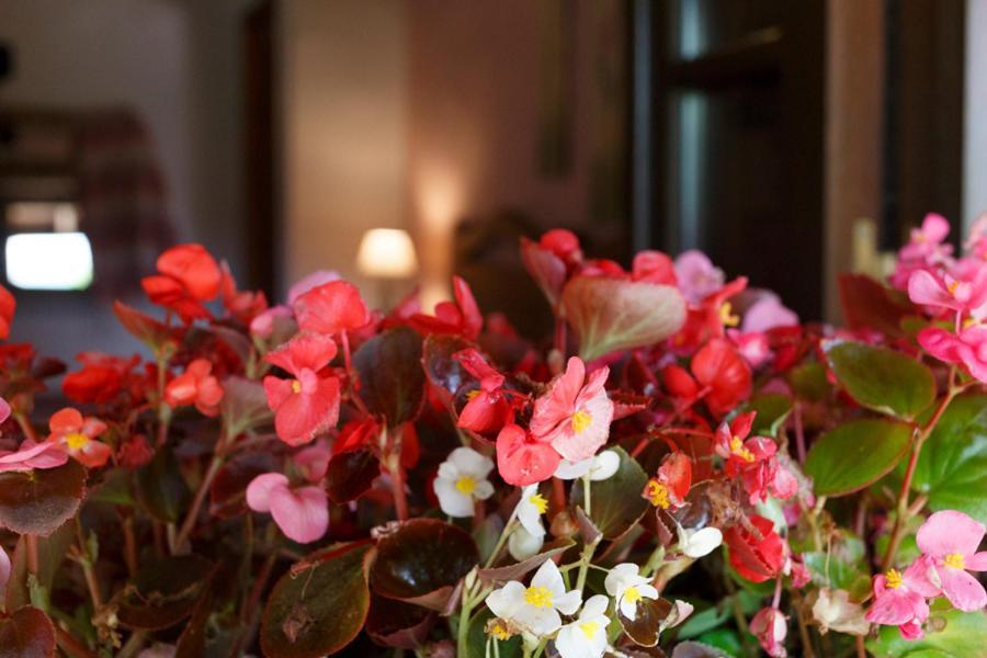 Country house Lugar Dos Devas